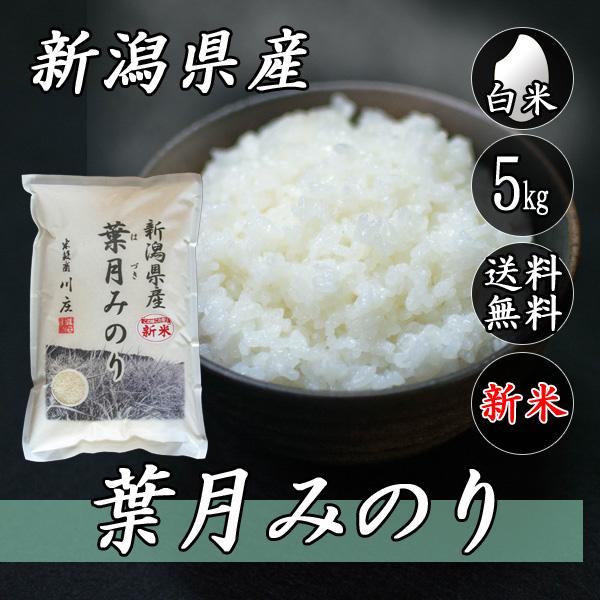 お米 5kg 新潟産 葉月みのり 5kg×1袋 送料無料 令和5年産 米 白米