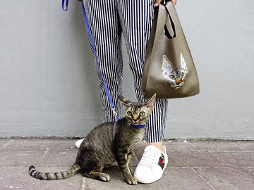 客製化禮物 全手工手繪頭像寵物真皮購物包 | 手提包