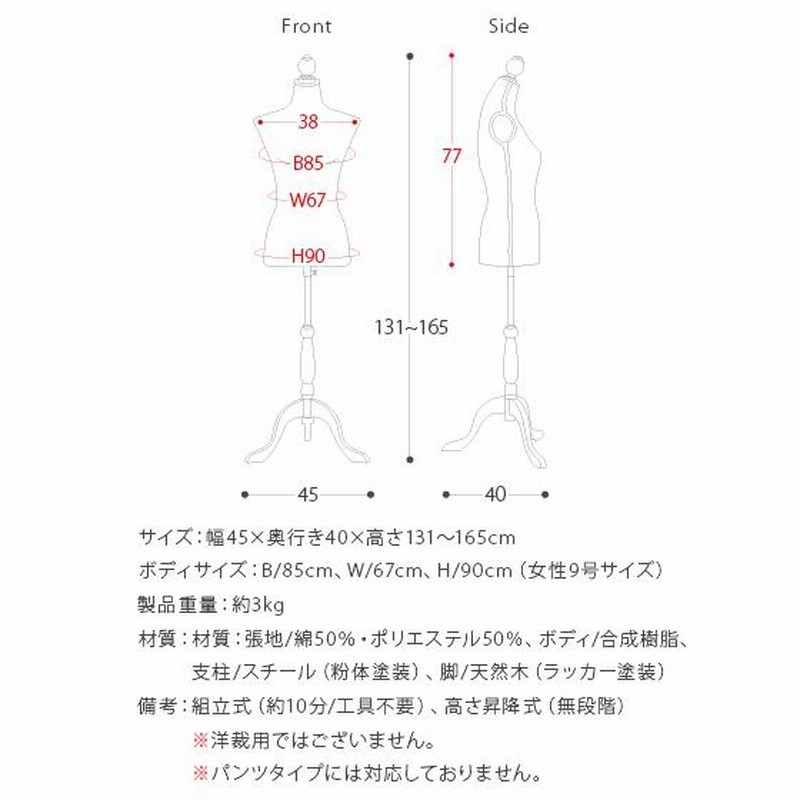 トルソー マネキン 9号 レディース マネキントルソー 高さ調節可能