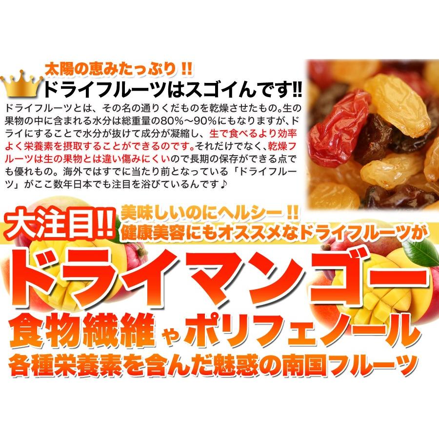 ドライマンゴー 1kg×5 マンゴー ドライフルーツ タイ産 乾燥フルーツ 果物 おやつ ヨーグルト フルーツ 食物繊維 ポリフェノール 業務用 大容量 送料無料