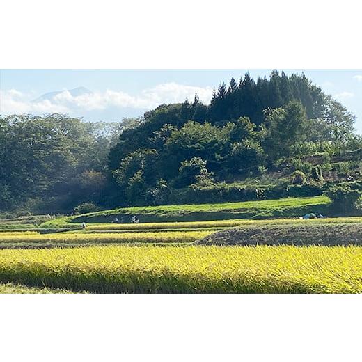 ふるさと納税 岩手県 八幡平市 八幡平市産 つきあかり 玄米10kg（5kg×2袋） ／ 新米 玄米 産地直送 