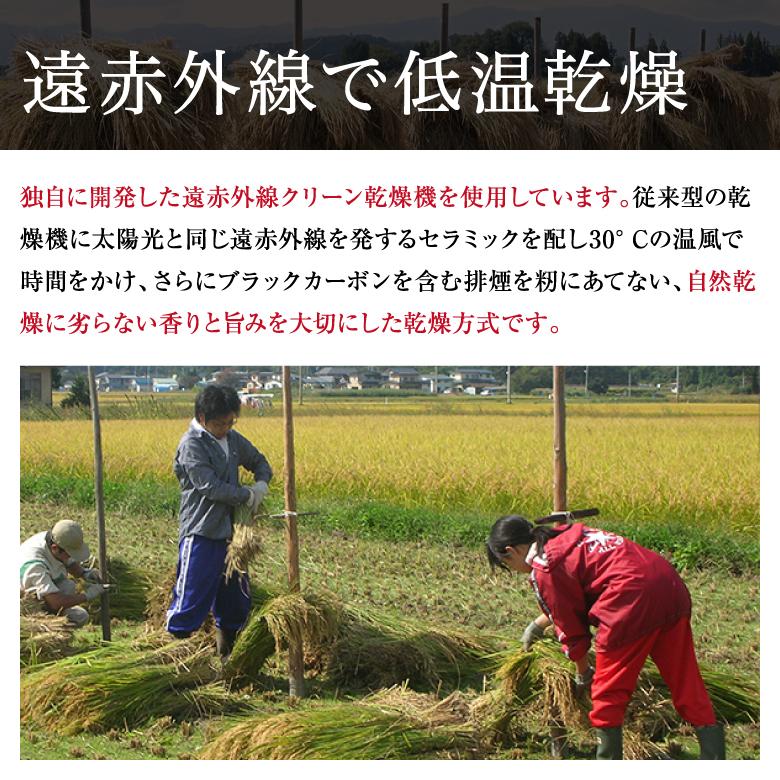 米 新米 コシヒカリ 5kg 農薬不使用 山形県産 お米 生きた玄米 紅の華 令和5年産 特A米 特別栽培米 上和田米