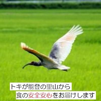 無洗米 コシヒカリ 令和5年新米 ：残留農薬ゼロ １K 特別栽培棚田米 ：お試し品