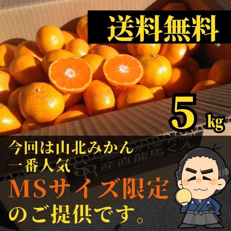 山北みかん　MSサイズ限定5kg みかん蜜柑 中級品　高知産