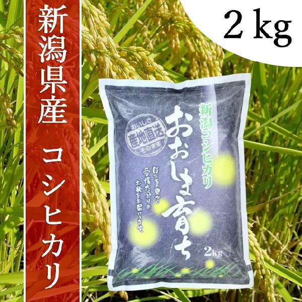 令和５年度産　おおしま育ち　コシヒカリ　白米　２kg