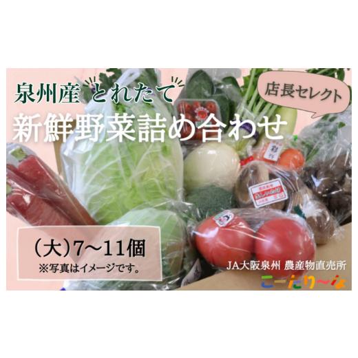 ふるさと納税 大阪府 泉佐野市 直売所店長セレクト季節の野菜セット