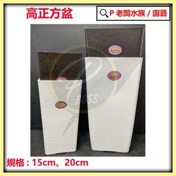 P老闆園藝~方型高盆 15CM 20CM塑膠盆 正方盆 室內外種植 園藝資材 育苗盆 高盆