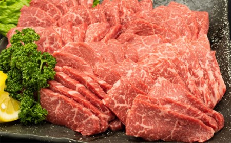 熊本県産 A5等級 黒毛和牛 和王 柔らか 赤身 焼肉 300g×4P 計1.2kg