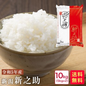 米 10kg 送料無料 令和5年産 新潟新之助10kg(5kg×2)