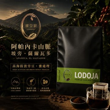 【LODOJA 裸豆家】薩爾瓦多藝伎風味精品濾掛禮盒40入(淺烘培 莊園等級 接單現烘 最新鮮烘培)