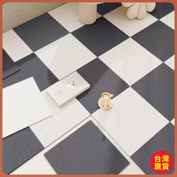 💚拚接地墊💚靜電吸附拚接地墊格子滿鋪可裁剪機洗網紅地毯臥室出租屋滿鋪地毯 71CP