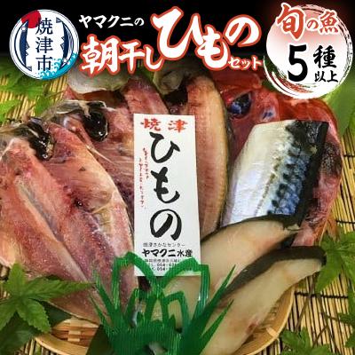 ふるさと納税 焼津市 朝干しひものセット5種以上!(a10-431)