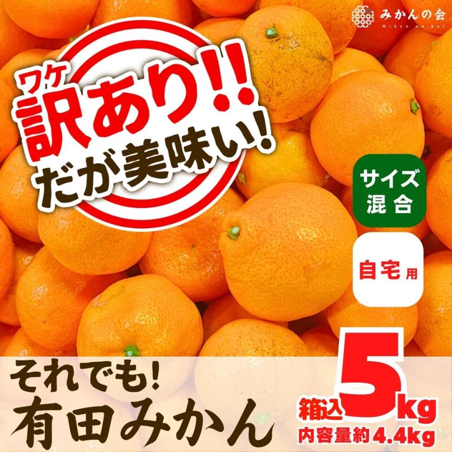 訳あり それでも みかん  箱込 5kg 内容量 4.4kg サイズミックス Ｂ品 有田みかん 和歌山県産 産地直送 家庭用