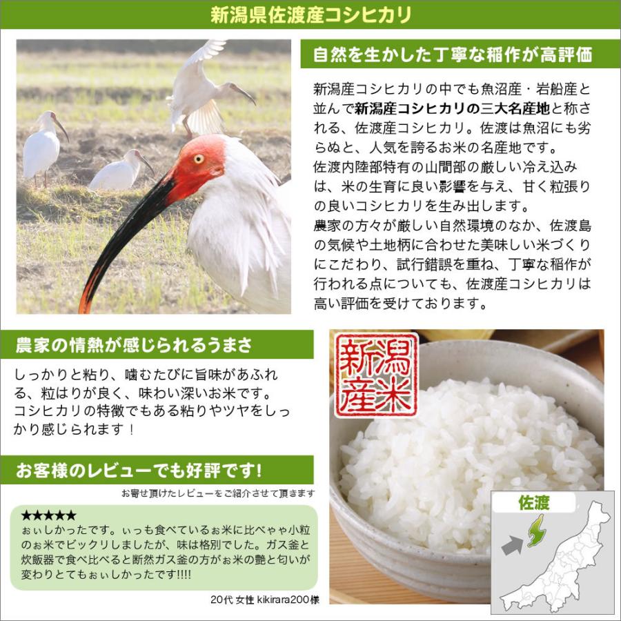 新米 令和5年産 お米 5kg 佐渡産コシヒカリ 送料無料（北海道、九州、沖縄除く）