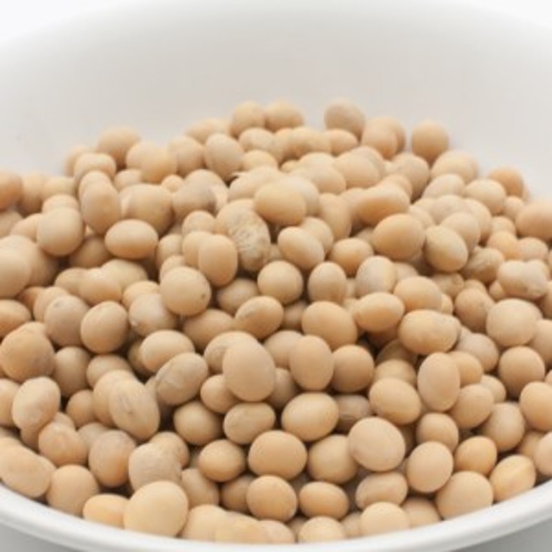 1kg　ソヤビーン　大豆　常温便　枝豆　1000g　LINEショッピング　ダイズ　業務用　ビーンズ　Soybean