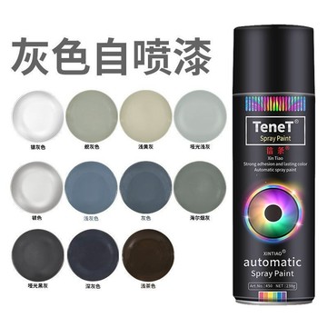 ⭐台灣出貨⭐ ~銀灰自噴漆不掉色泳久汽車修補漆防銹金屬漆家具木器油漆改色涂鴉