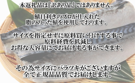 AB346.バラ凍結で便利！塩さば＆銀鮭ミックス（合計約2.5kg）