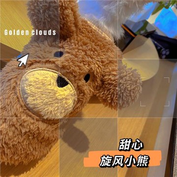 旋風小熊 寵物衣服狗狗裝秋冬保暖羊羔絨加厚背心T恤可愛泰迪搞笑