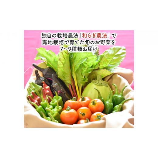 ふるさと納税 滋賀県 栗東市 和らぎ農法　わっさんの食いしん坊野菜　栗東市産　旬の野菜便