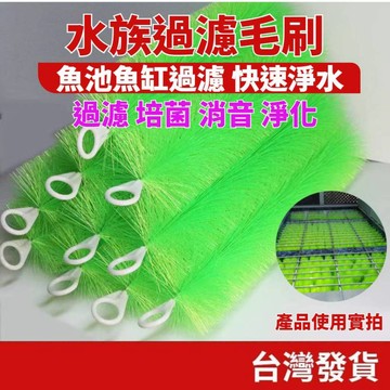 (水族專區+電子發票快速出) 過濾毛刷 魚菜共生 魚池濾材 魚缸過濾 魚缸消音毛刷 生化毛刷 水族 毛刷 綠/黑 兩款