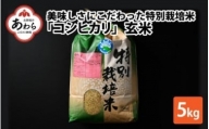 コシヒカリ 玄米 5kg 特別栽培米 農薬不使用 化学肥料不使用 ／ 高品質 鮮度抜群 福井県産 ブランド米