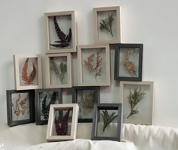 北歐ins小清新干花綠植標本實木相框畫框相片墻擺件臺面裝飾相架