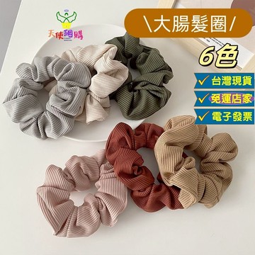 天使網購✌99元出貨 莫蘭迪色系大腸髮圈 台灣現貨 電子發票 髮飾 髮圈 頭飾 髮繩 馬尾 大腸圈 EE