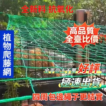 🔥全臺比價🔥 可客製 植物爬藤網 90股 養殖網 籃球網 樓梯陽臺露臺防護安全網 耐用 圍網 百香果爬藤網 攀爬網 FM