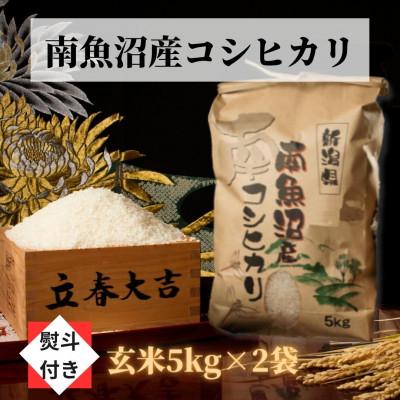 ふるさと納税 南魚沼市 南魚沼産こしひかり(玄米10kg)新潟県の美味しいお米