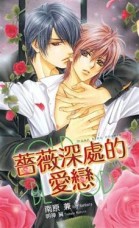 薔薇深處的愛戀【二手書_良好】TAAZE讀冊生活