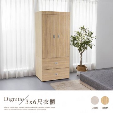 【H&D東稻家居】DIGNITAS狄尼塔斯梧桐色3X6尺二抽衣櫃(MIT 台灣製 衣櫃 衣櫥)