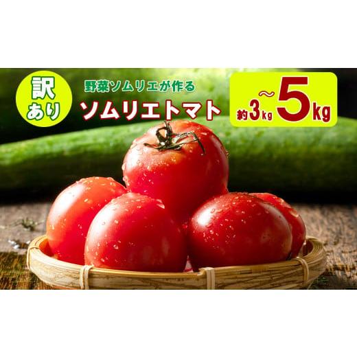 ふるさと納税 熊本県 玉名市 訳あり ソムリエトマト 約3kg〜5kg