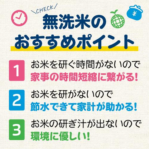 新米 令和5年産 無洗米 5kg 送料無料 コシヒカリ 新潟 あすつく 米 5キロ 新潟県産 こしひかり 美味しい お米 白米 おいしいお米