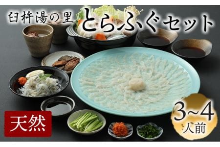 最高級の天然物！臼杵湯の里とらふぐセット（３～４人前）