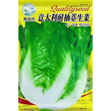 【免洗沙拉首選】原裝義大利生菜種子｜脆嫩多汁 生吃最鮮｜陽台水耕/盆栽30天速成｜無農藥沙拉自由｜新手必備 現貨速發
