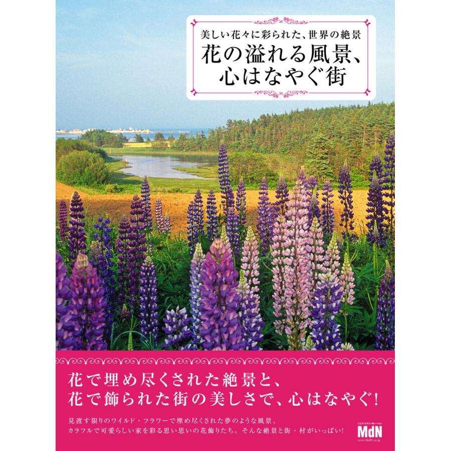 花の溢れる風景,心はなやぐ街 美しい花 に彩られた,世界の絶景