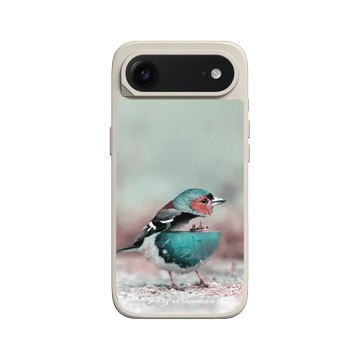 iPhone Air SolidX 貝殼灰 - Julien Tabet - 水鳥