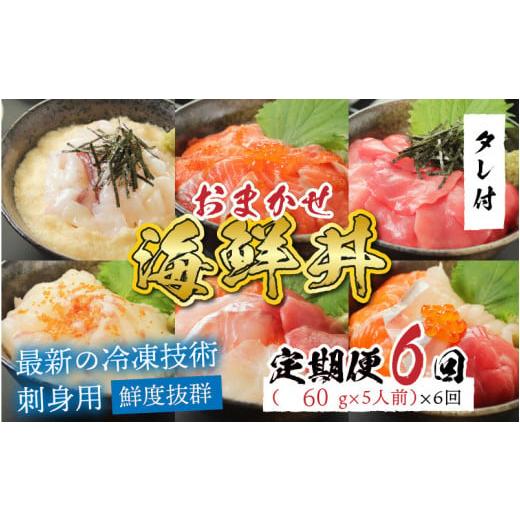 ふるさと納税 福井県 鯖江市 おまかせ海鮮丼の具 60g（タレ付）× 5人前 × 6回 [G-11005]