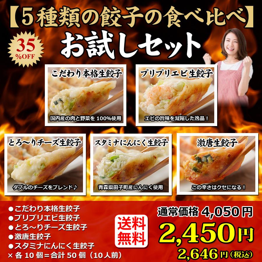 お試しセット送料無料 詰め合わせ 冷凍餃子  生餃子 餃子 ぎょうざ ギョーザ ギョウザ 冷凍生餃子 お取り寄せ セット 冷凍食品 グルメ