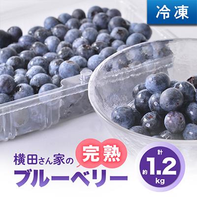 ふるさと納税 稲敷市 横田さん家の冷凍完熟ブルーベリー　4パック