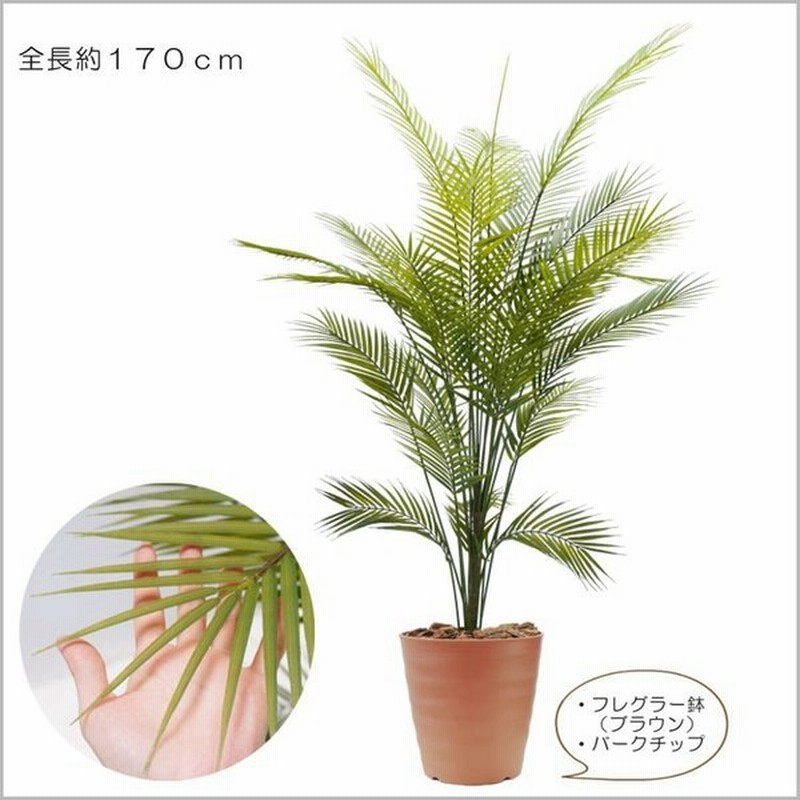 アレカパームツリー 170cm 造花 人工観葉植物 インテリア 大型 お洒落 ヤシ フェイクグリーン 南国 エスニック 1 7ｍ 通販 Lineポイント最大0 5 Get Lineショッピング