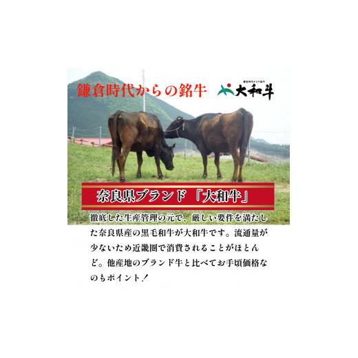 ふるさと納税 奈良県 宇陀市 (冷凍) 大和牛 バラ 赤身 盛り合わせ 焼肉 500g ／ 金井畜産 国産 ふるさと納税 肉 生産農家 産地直送 奈良県 宇陀市 ブランド牛