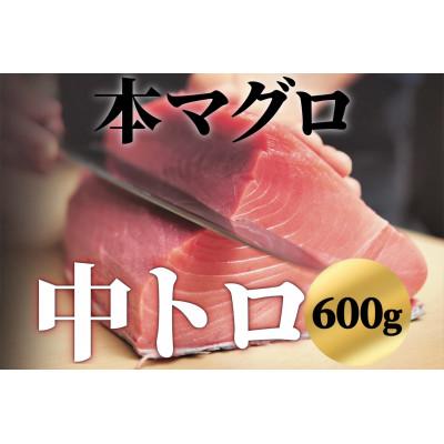 ふるさと納税 茂原市 本マグロ 中トロ 600g