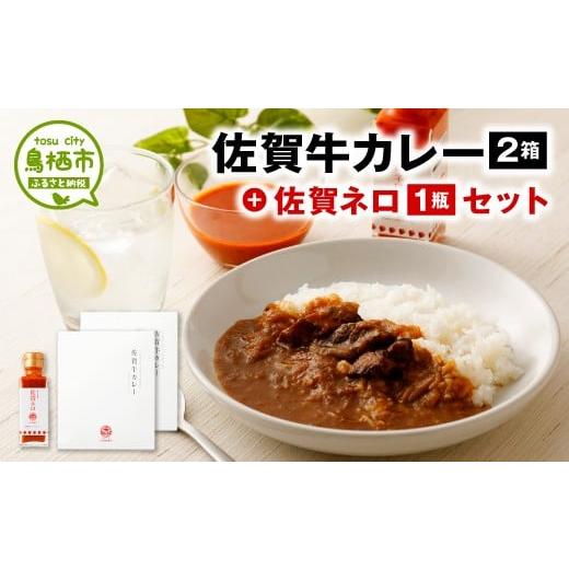 ふるさと納税 佐賀県 鳥栖市 13-15 佐賀牛カレー＋佐賀ネロのセット