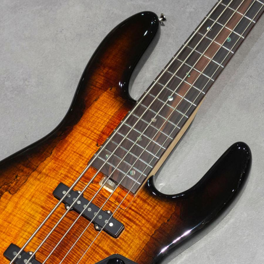 infinite  Trad JB 5st Active Bendtop Spolted Maple Bengal Burst