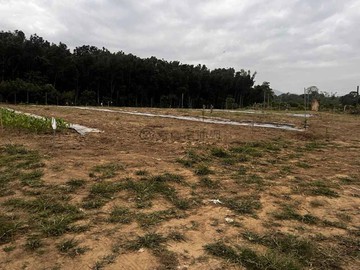 台南市楠西區鄰近圖書館已分割農牧用地3-02887｜台南市楠西區永興段