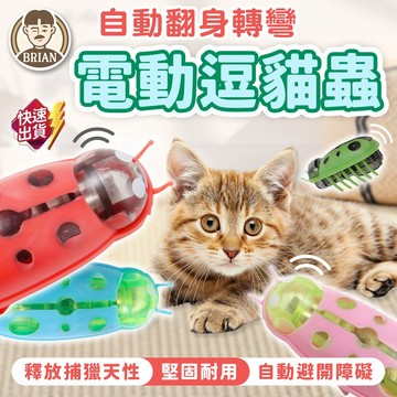 電動逗貓蟲【布萊恩👨🏻隔日到貨】逗貓玩具 貓咪自嗨玩具 貓咪玩具 貓玩具 電動蟲玩具 寵物玩具 寵物用品
