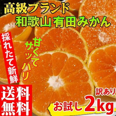 みかん 訳あり 2kg 和歌山みかん 有田みかん ありだみかん