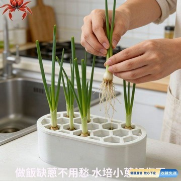 💎隔日免運 小蔥水培種植器 水培蔥花盆 種植盒 陽臺水培盆 懶人家庭種植器 再生種植盆 栽培盒 家庭園藝 種植用品