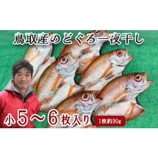 ふるさと納税 鳥取県 日吉津村 KI03：鳥取県産のどぐろ一夜干し（小５〜６枚）